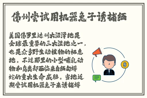 少妇极品欧美日韩视频